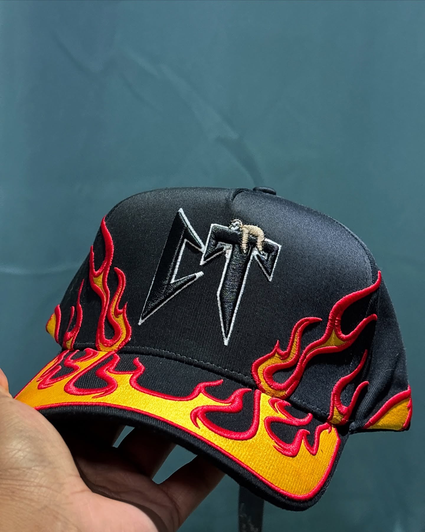 CT FLAMES